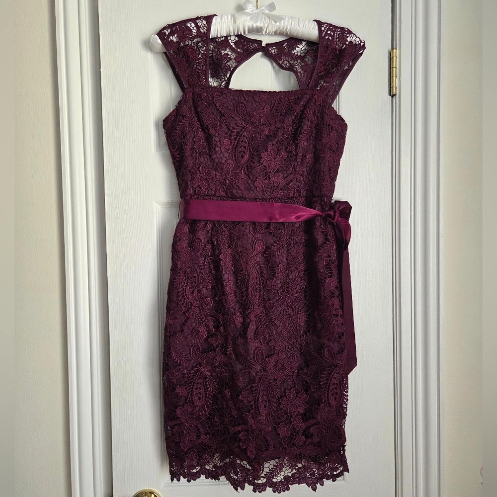 Adrianna Papell Lace Mini Dress in Deep Burgundy